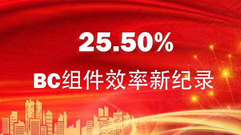 BC組件效率25.50%！金石能源混合型BC組件再創新紀錄